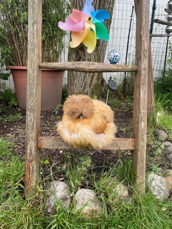 Ferienwohnung Seidenhuhn Kiefersfelden Exterior foto